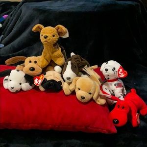 🐶 Beanie Babies Original Puppies!